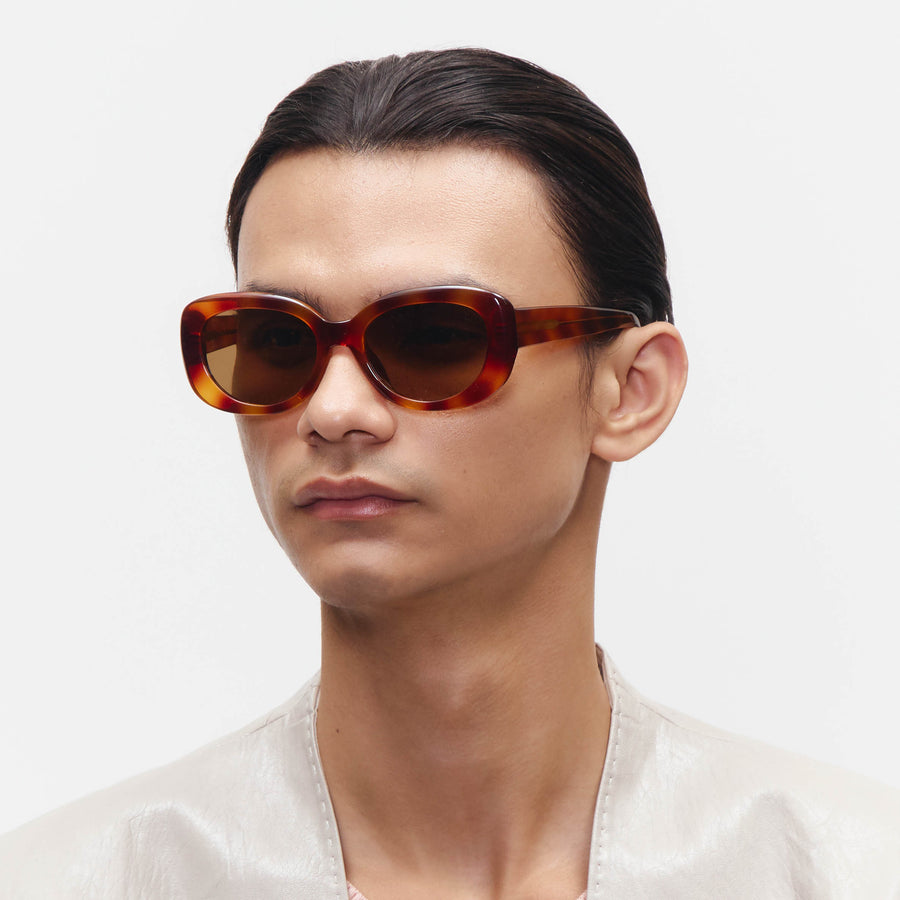 Honey Tortoise Model