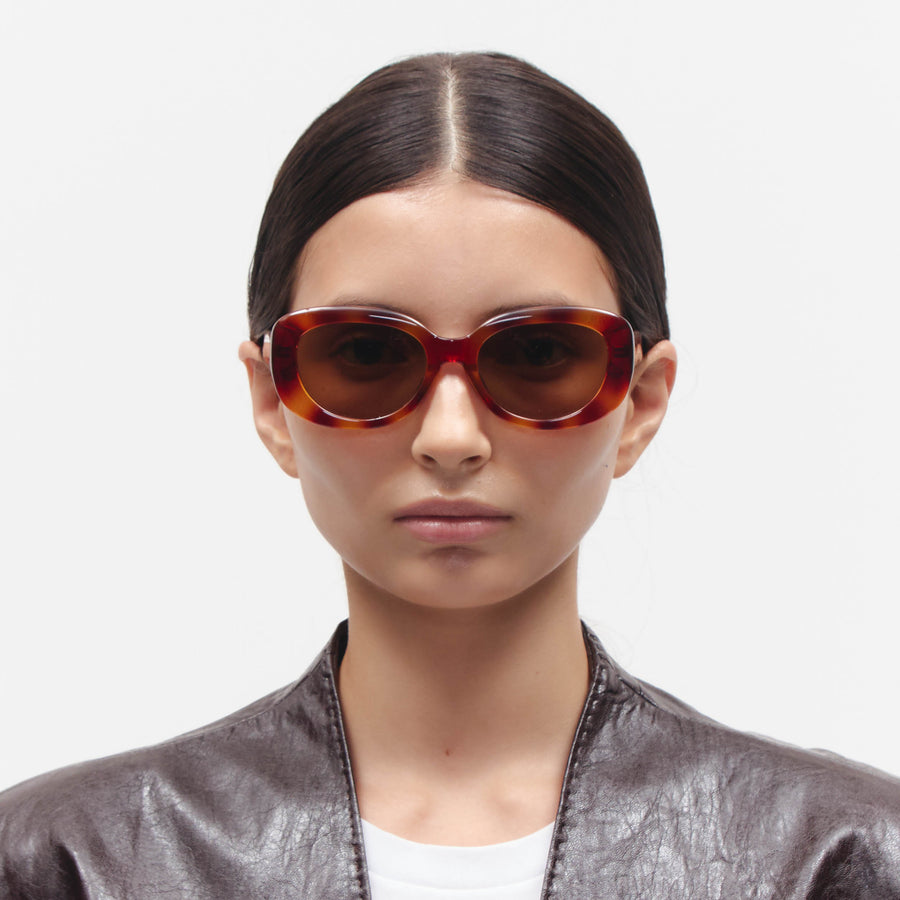 Honey Tortoise Model