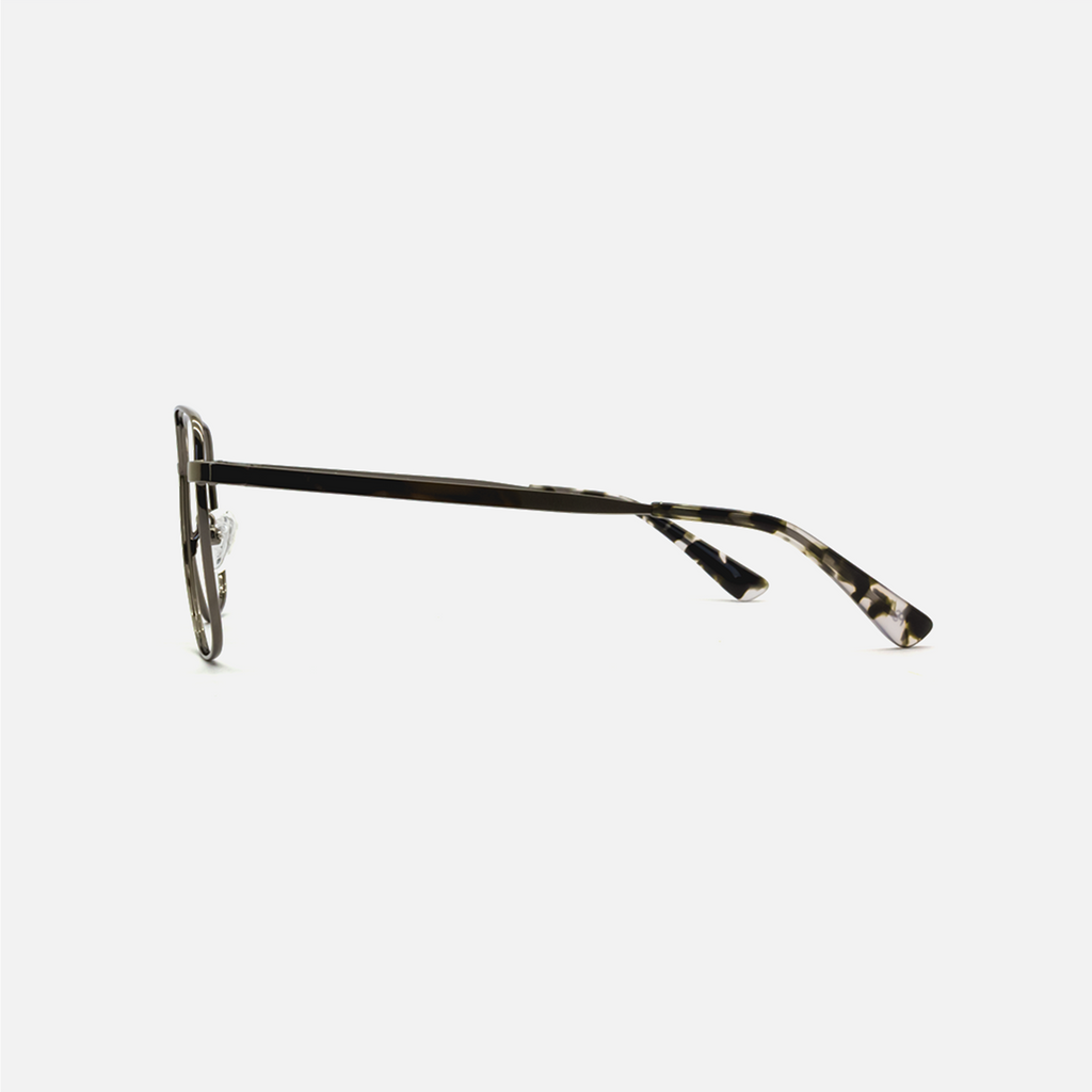 Gun