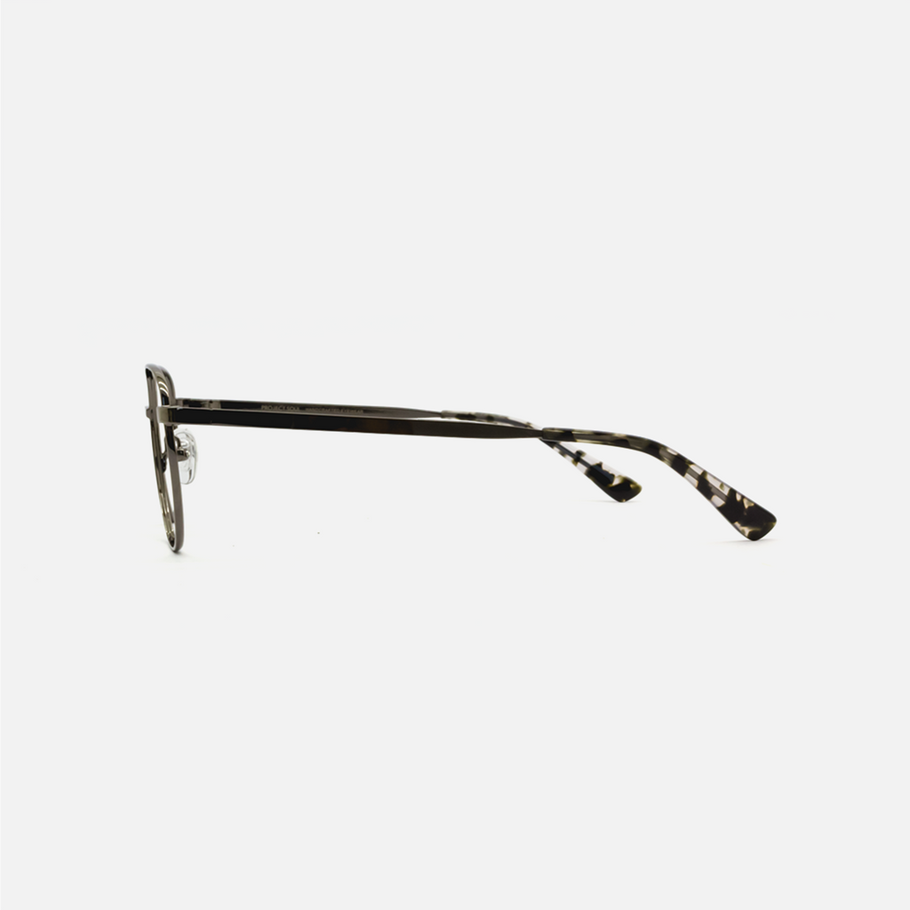 Gun
