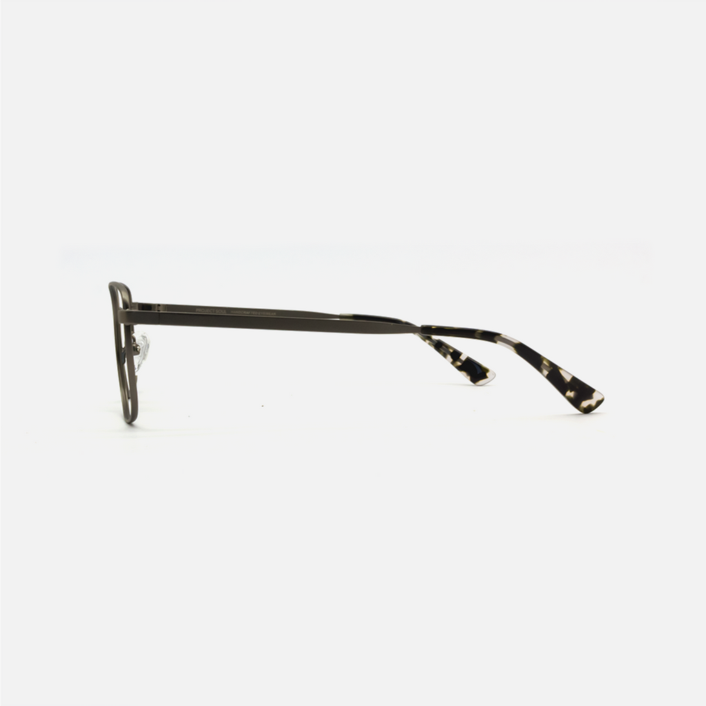 Gun